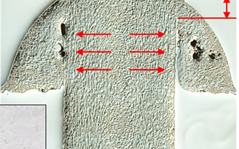 Staking by Ultrasound – Strong Joints in Short Cycle Times